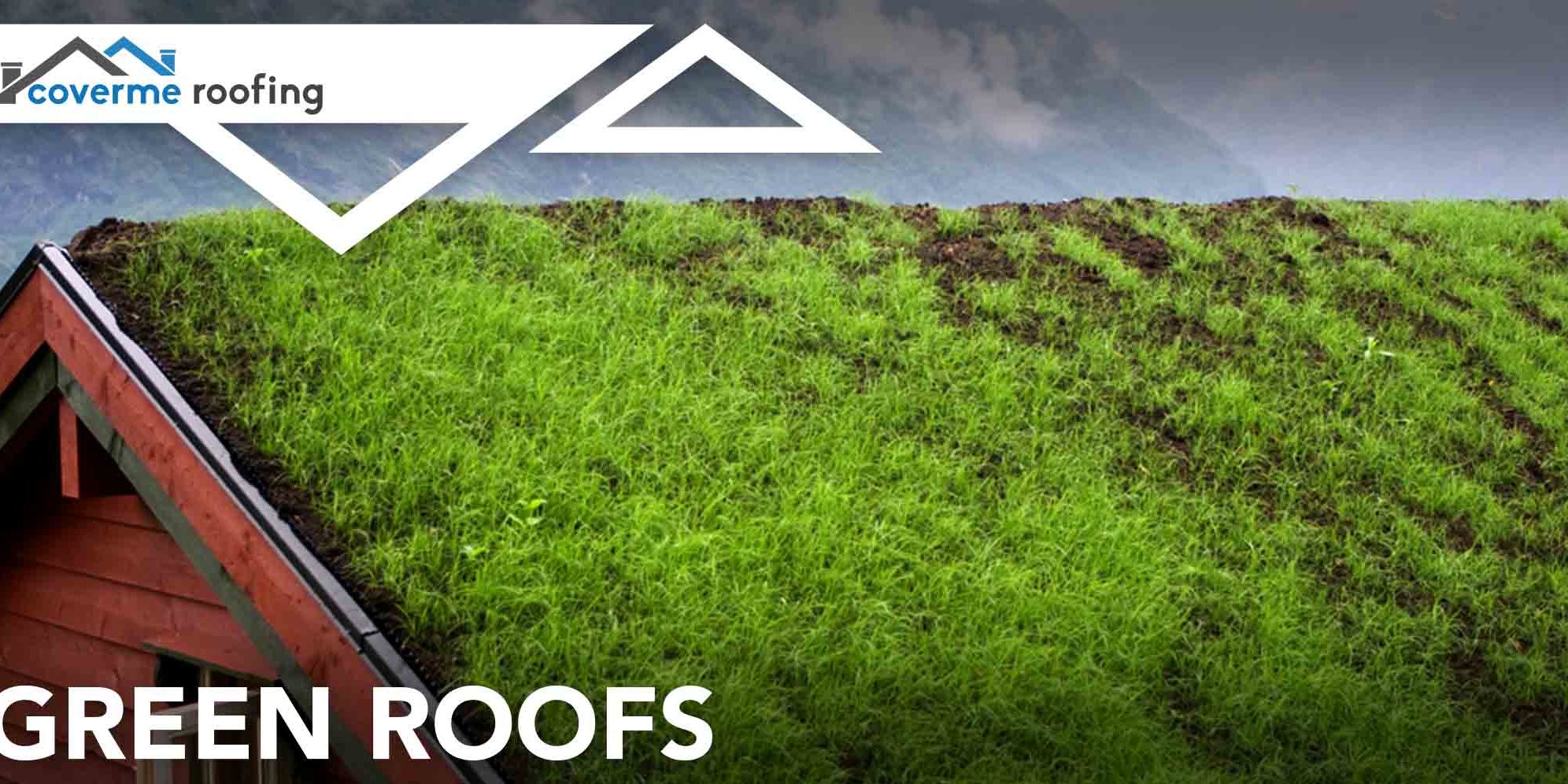 Green-Roofs grass growing on roof