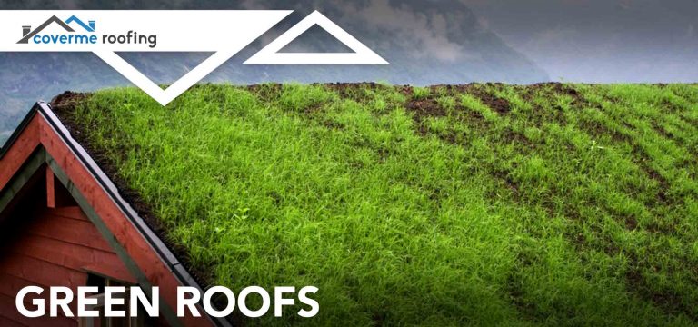 Green-Roofs grass growing on roof