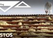 asbestos treatment on roof